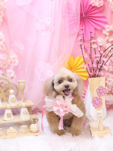 20250321バーディーくん